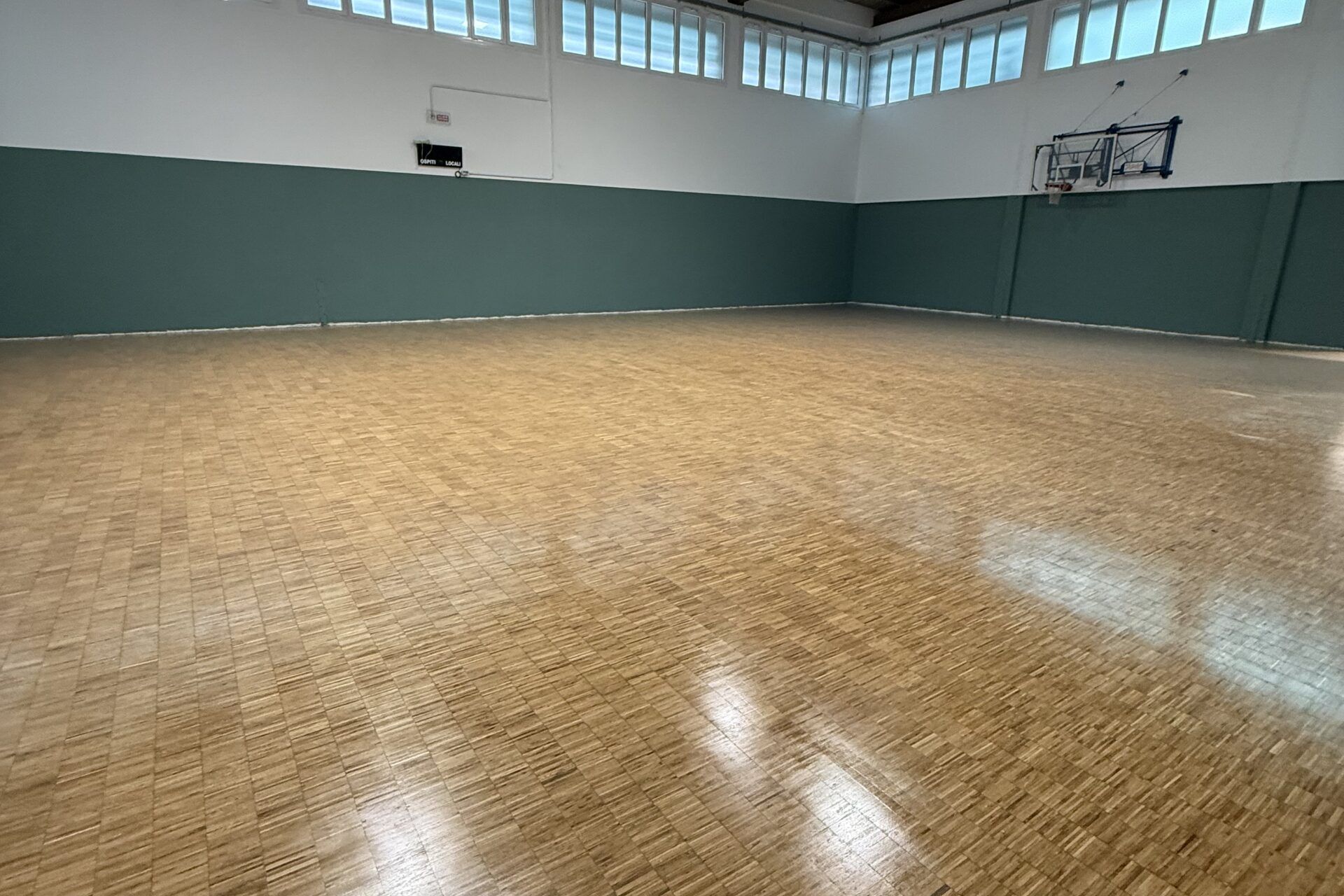 Palestra Solimani